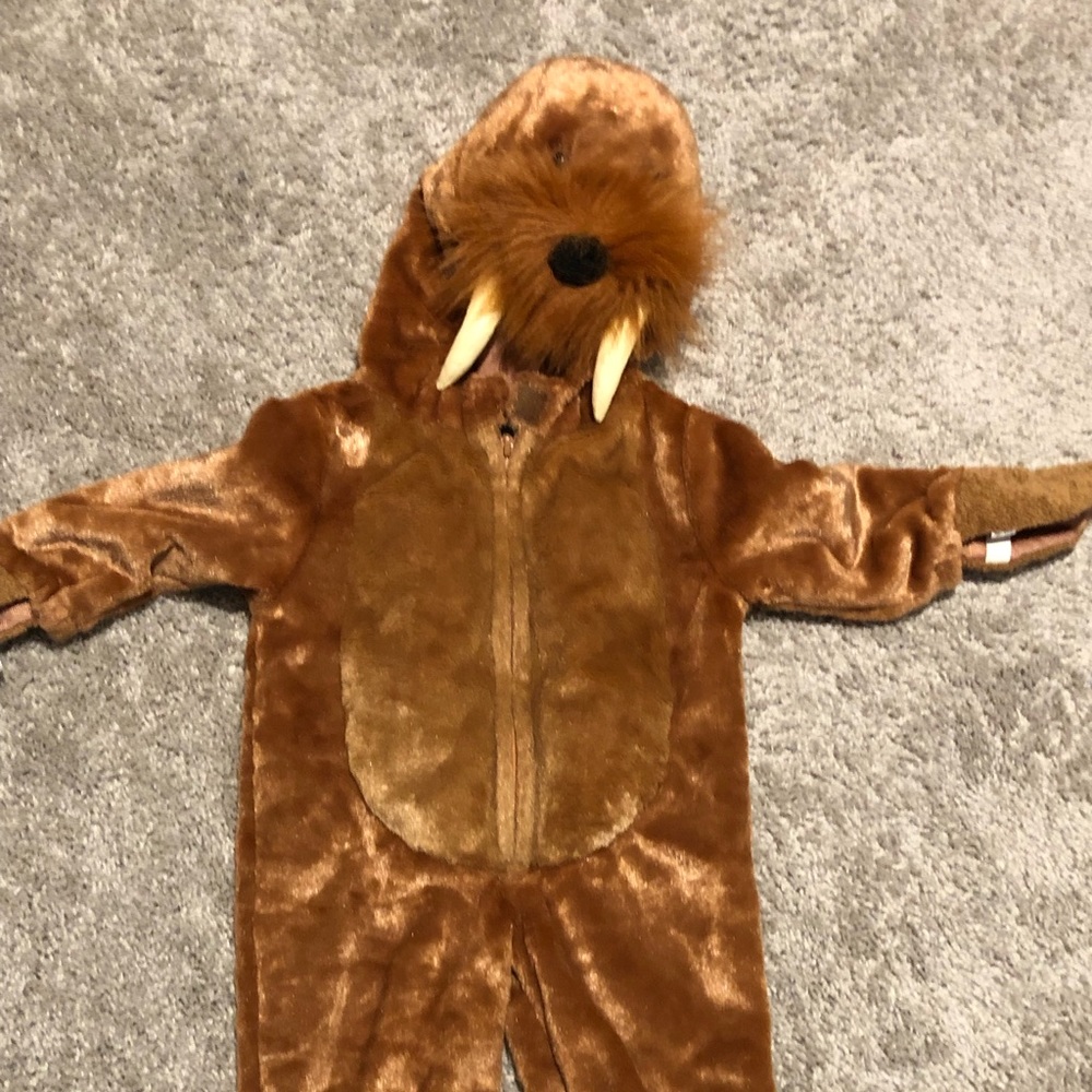 Baby costumes